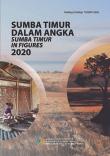 Sumba Timur Regency in Figures 2020