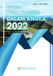 Kecamatan Wula Waijelu Dalam Angka 2022